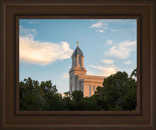 Load image into Gallery viewer, Cedar City Temple Juniper
