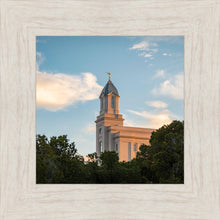 Load image into Gallery viewer, Cedar City Temple Juniper
