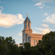 Load image into Gallery viewer, Cedar City Temple Juniper
