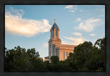 Load image into Gallery viewer, Cedar City Temple Juniper
