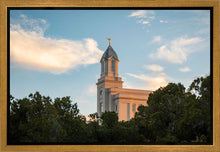 Load image into Gallery viewer, Cedar City Temple Juniper
