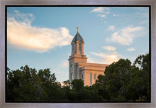 Load image into Gallery viewer, Cedar City Temple Juniper
