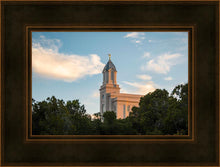 Load image into Gallery viewer, Cedar City Temple Juniper
