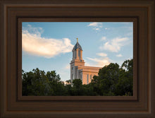 Load image into Gallery viewer, Cedar City Temple Juniper
