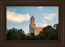 Load image into Gallery viewer, Cedar City Temple Juniper
