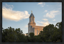 Load image into Gallery viewer, Cedar City Temple Juniper
