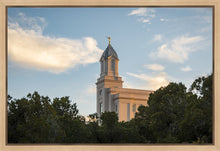 Load image into Gallery viewer, Cedar City Temple Juniper
