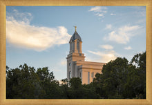 Load image into Gallery viewer, Cedar City Temple Juniper
