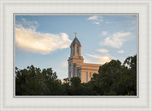 Load image into Gallery viewer, Cedar City Temple Juniper
