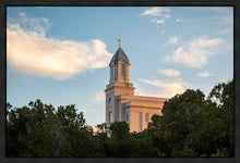 Load image into Gallery viewer, Cedar City Temple Juniper
