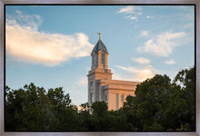 Load image into Gallery viewer, Cedar City Temple Juniper
