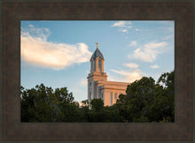 Load image into Gallery viewer, Cedar City Temple Juniper
