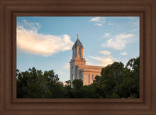 Load image into Gallery viewer, Cedar City Temple Juniper
