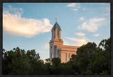 Load image into Gallery viewer, Cedar City Temple Juniper
