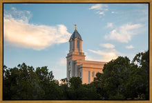 Load image into Gallery viewer, Cedar City Temple Juniper
