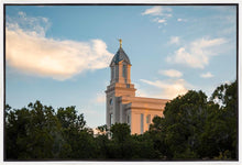 Load image into Gallery viewer, Cedar City Temple Juniper
