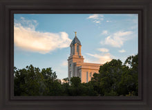 Load image into Gallery viewer, Cedar City Temple Juniper
