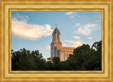 Load image into Gallery viewer, Cedar City Temple Juniper
