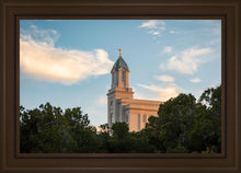 Load image into Gallery viewer, Cedar City Temple Juniper
