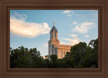 Load image into Gallery viewer, Cedar City Temple Juniper
