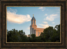 Load image into Gallery viewer, Cedar City Temple Juniper
