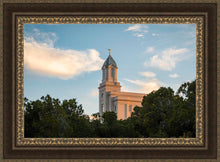 Load image into Gallery viewer, Cedar City Temple Juniper
