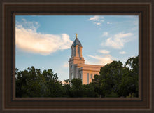 Load image into Gallery viewer, Cedar City Temple Juniper
