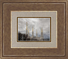 Load image into Gallery viewer, Washington DC Through Life's Storms
