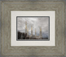 Load image into Gallery viewer, Washington DC Through Life's Storms
