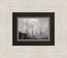 Load image into Gallery viewer, Washington DC Through Life's Storms
