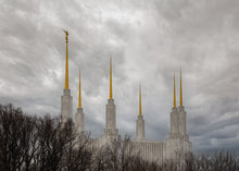 Load image into Gallery viewer, Washington DC Through Life's Storms
