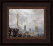 Load image into Gallery viewer, Washington DC Through Life's Storms
