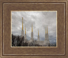 Load image into Gallery viewer, Washington DC Through Life's Storms
