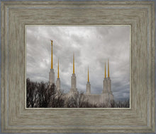 Load image into Gallery viewer, Washington DC Through Life's Storms
