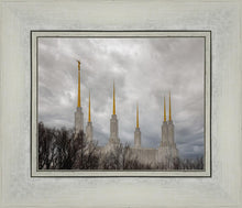 Load image into Gallery viewer, Washington DC Through Life's Storms
