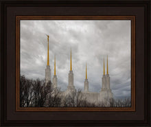 Load image into Gallery viewer, Washington DC Through Life's Storms
