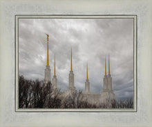 Load image into Gallery viewer, Washington DC Through Life's Storms
