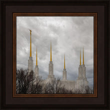 Load image into Gallery viewer, Washington DC Through Life's Storms
