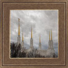Load image into Gallery viewer, Washington DC Through Life's Storms
