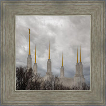 Load image into Gallery viewer, Washington DC Through Life's Storms
