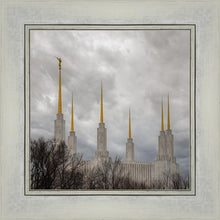 Load image into Gallery viewer, Washington DC Through Life's Storms
