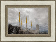 Load image into Gallery viewer, Washington DC Through Life's Storms
