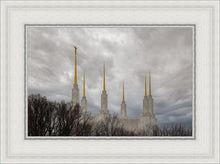 Load image into Gallery viewer, Washington DC Through Life's Storms

