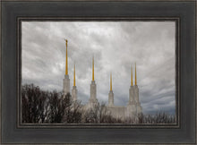 Load image into Gallery viewer, Washington DC Through Life's Storms
