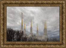 Load image into Gallery viewer, Washington DC Through Life's Storms
