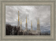 Load image into Gallery viewer, Washington DC Through Life's Storms
