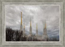 Load image into Gallery viewer, Washington DC Through Life's Storms

