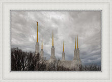 Load image into Gallery viewer, Washington DC Through Life's Storms
