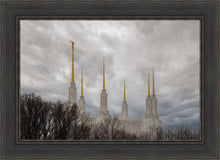 Load image into Gallery viewer, Washington DC Through Life's Storms
