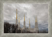 Load image into Gallery viewer, Washington DC Through Life's Storms
